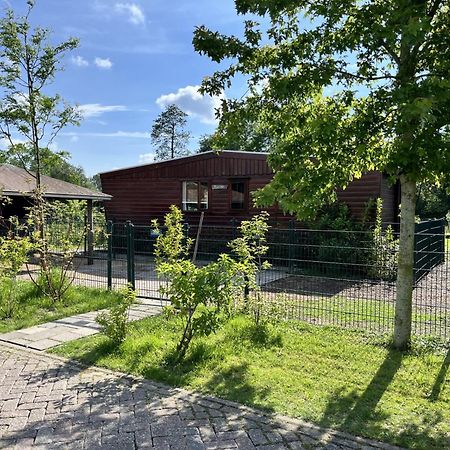 Vrijstaand Chalet Met Veel Buitenruimte En Veranda Zuid-Scharwoude エクステリア 写真