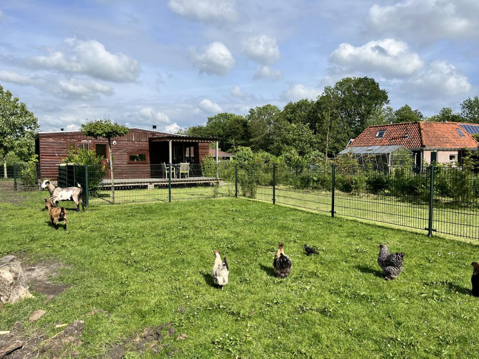 Vrijstaand Chalet Met Veel Buitenruimte En Veranda Zuid-Scharwoude エクステリア 写真